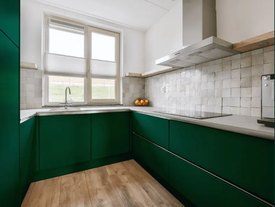 Benjamin Moore Calypso Green small kitchen cabinets