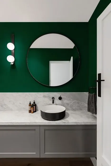 Benjamin Moore Calypso Green minimalist bathroom