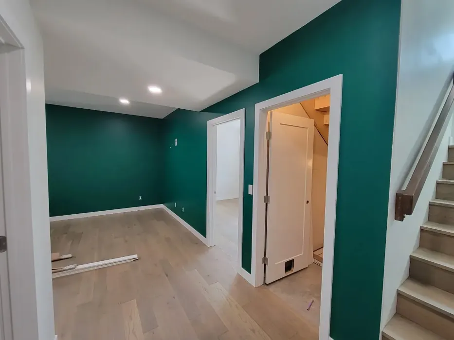 Benjamin Moore Calypso Green wall paint 
