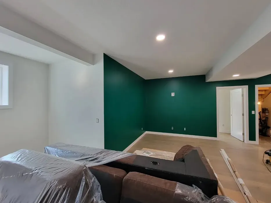 Benjamin Moore Calypso Green wall paint color