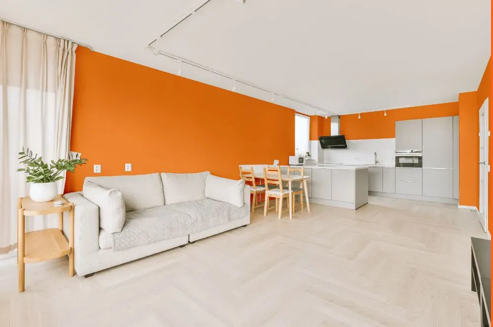 Benjamin Moore Calypso Orange living room interior