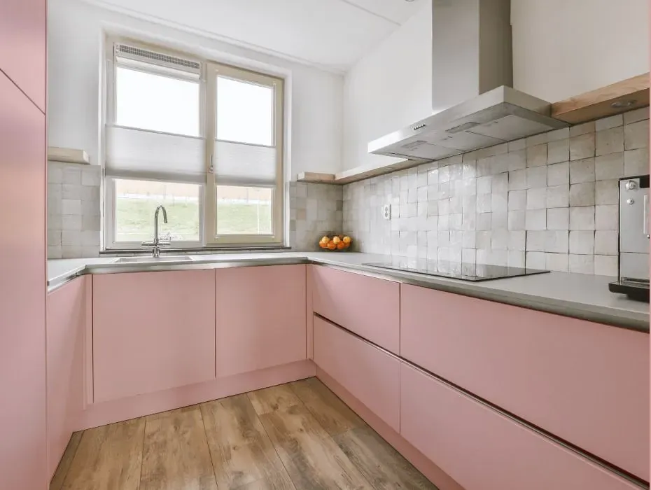 Benjamin Moore Camellia Pink small kitchen cabinets