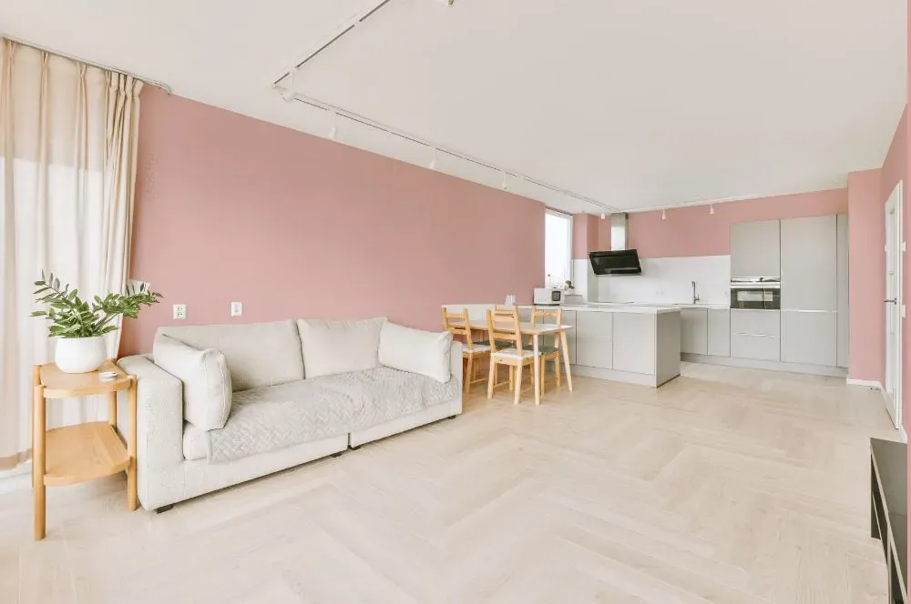 Benjamin Moore Camellia Pink living room interior