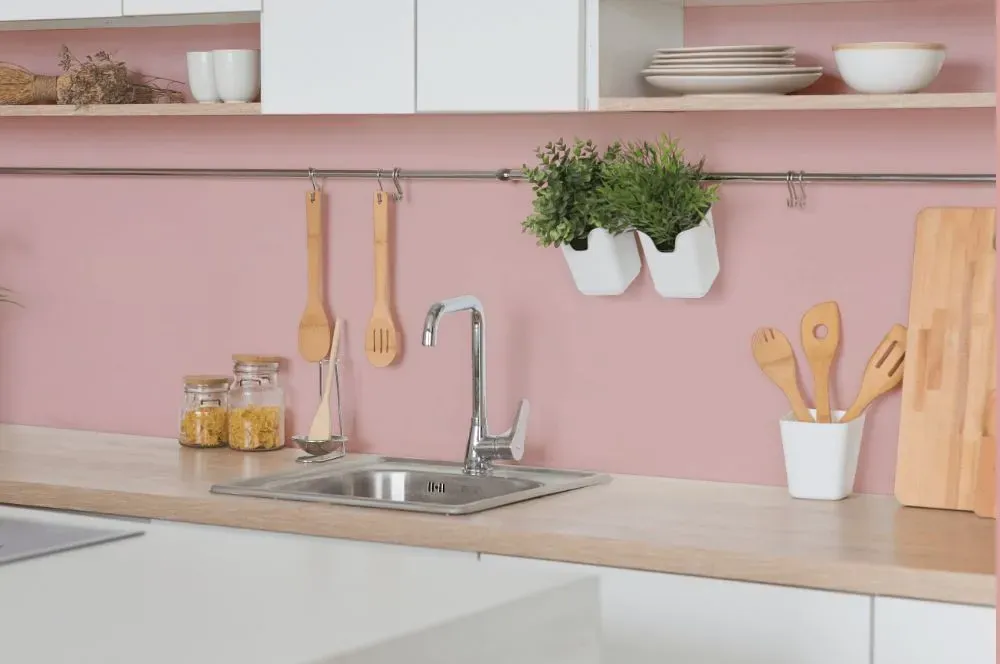 Benjamin Moore Camellia Pink kitchen backsplash