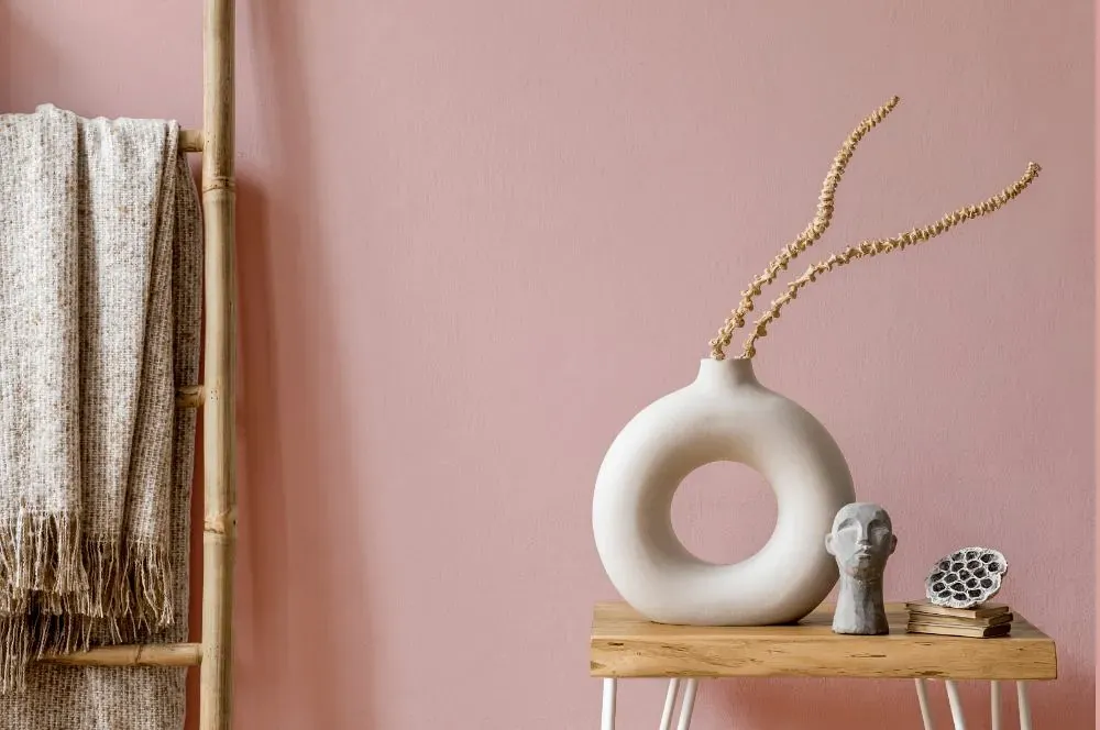 Benjamin Moore Camellia Pink wall