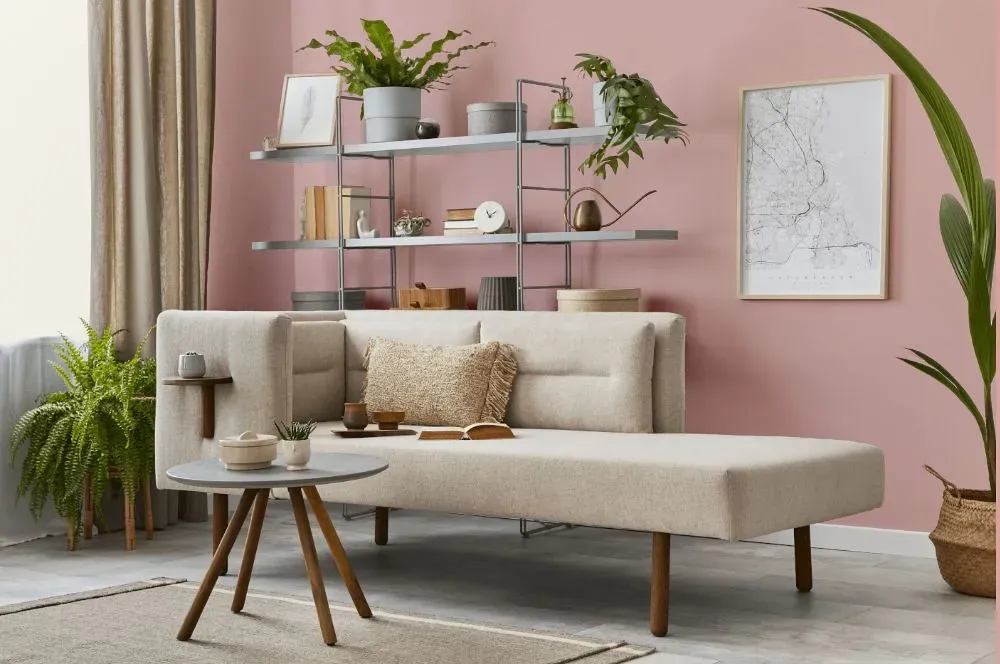 Benjamin Moore Camellia Pink living room