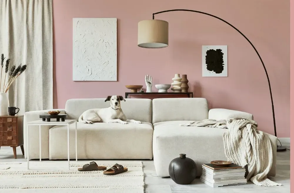 Benjamin Moore Camellia Pink cozy living room
