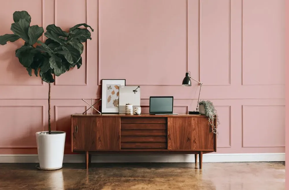 Benjamin Moore Camellia Pink modern interior