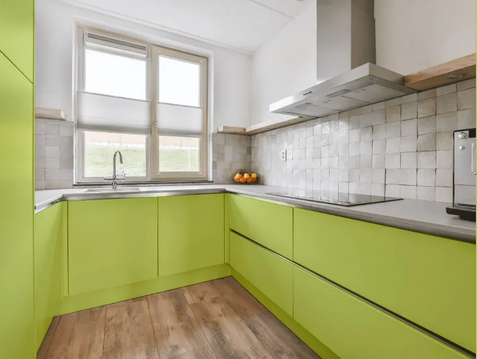 Benjamin Moore Candy Green small kitchen cabinets