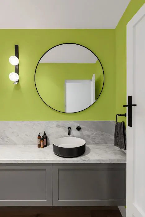 Benjamin Moore Candy Green minimalist bathroom