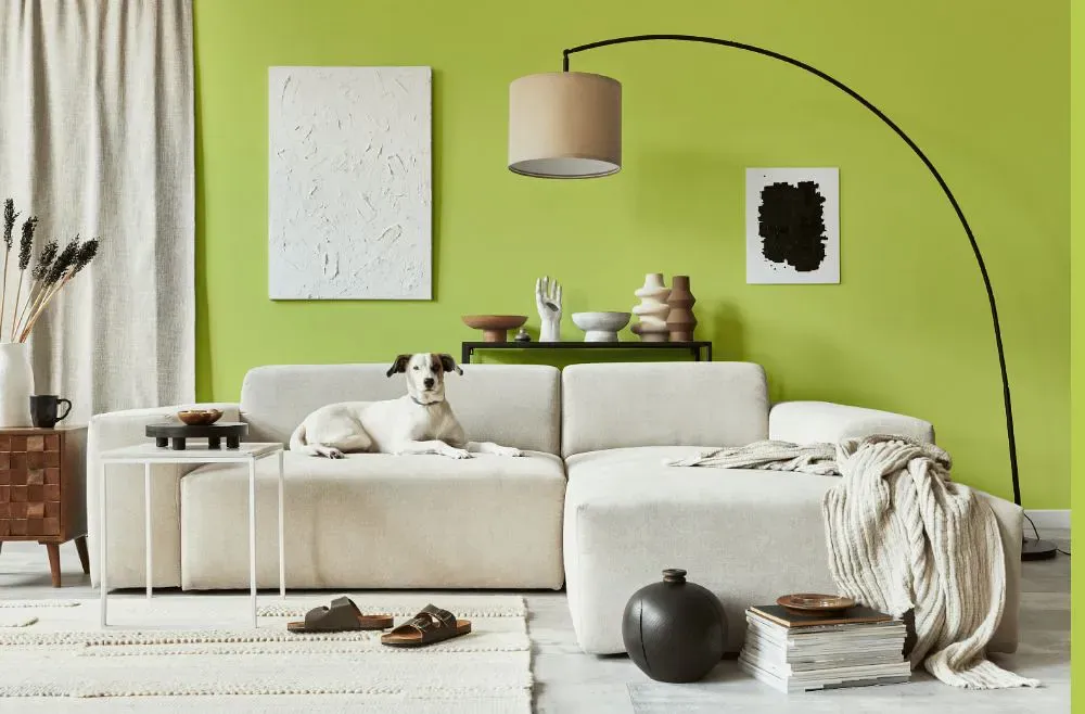 Benjamin Moore Candy Green cozy living room