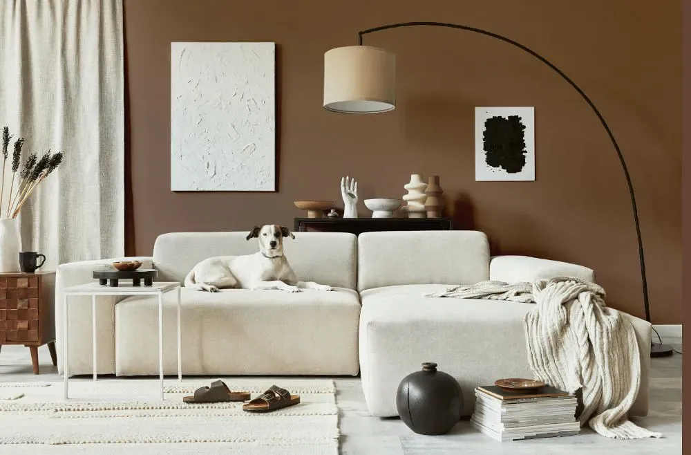 Benjamin Moore Carob cozy living room