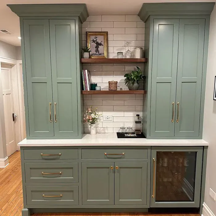 Benjamin Moore Carolina Gull Kitchen Cabinets