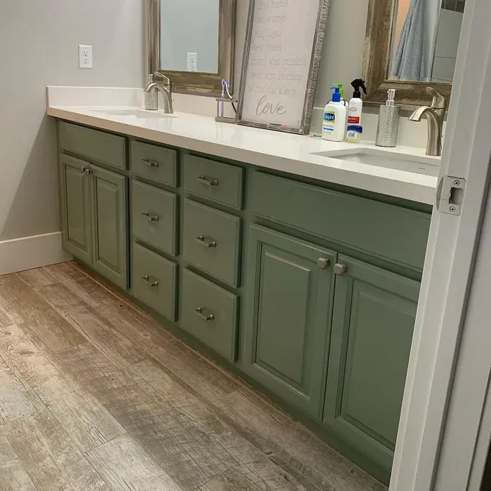 Carolina Gull Bathroom Vanity