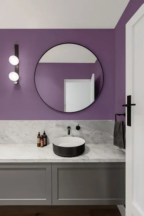 Benjamin Moore Carolina Plum minimalist bathroom