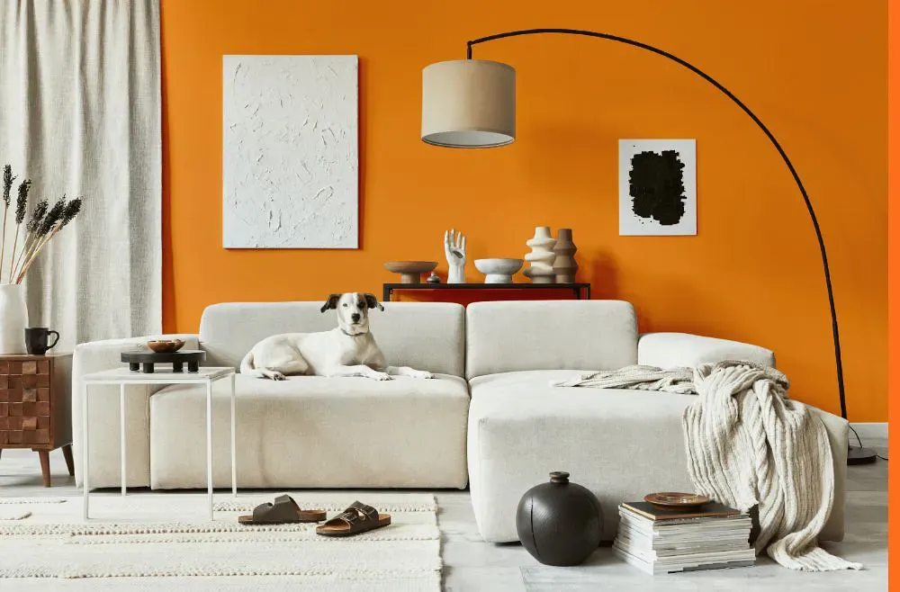 Benjamin Moore Carrot Stick cozy living room