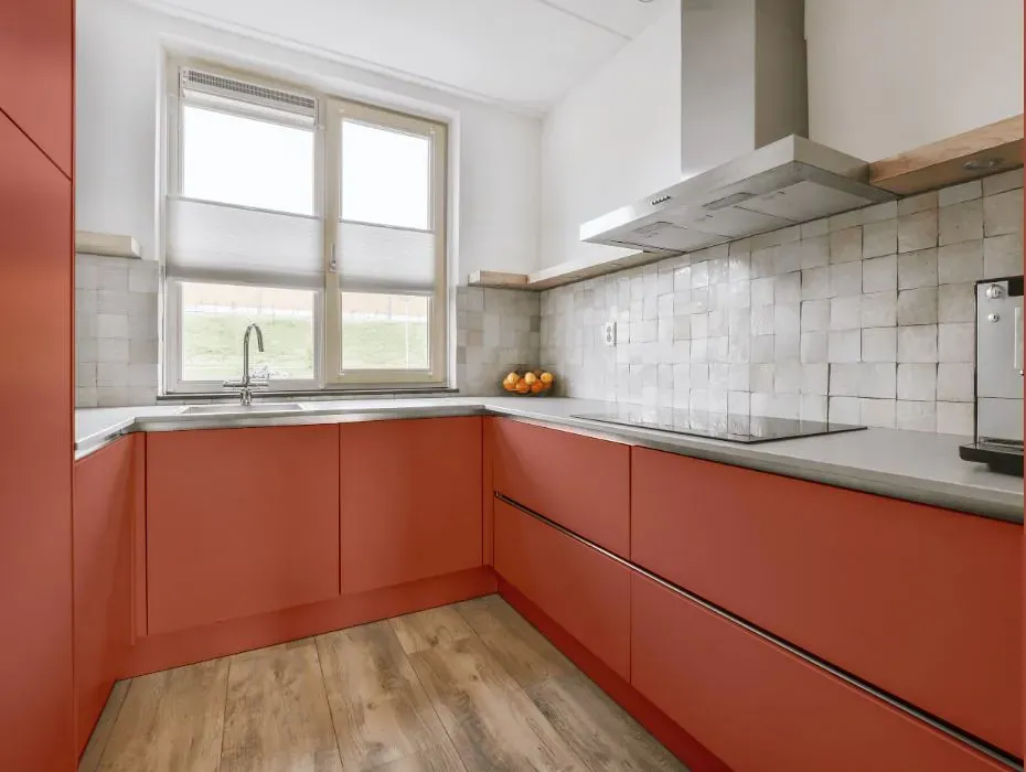 Benjamin Moore Carter Red small kitchen cabinets