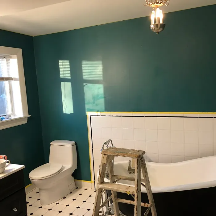 Benjamin Moore Casco Bay bathroom color review