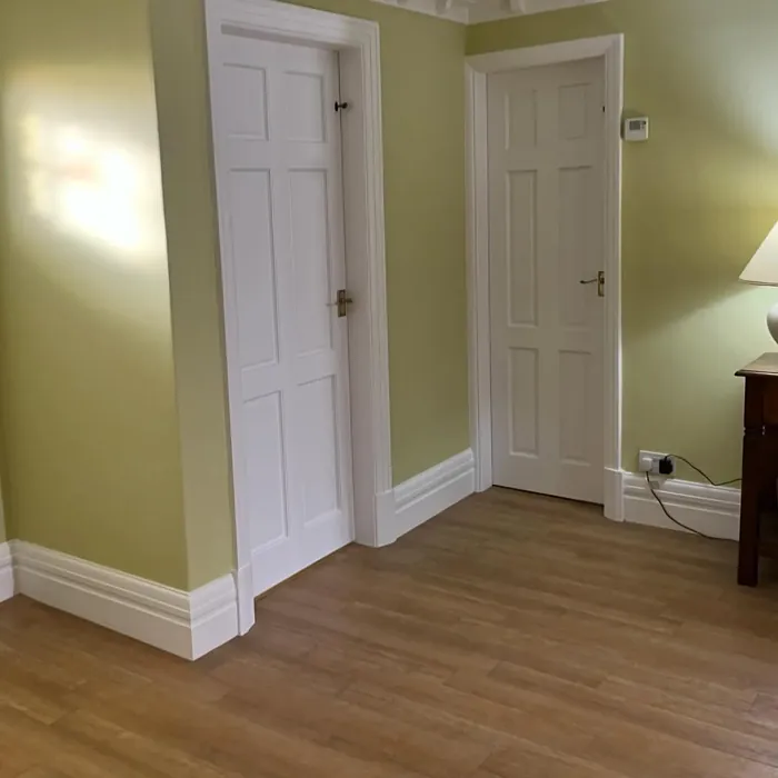 Benjamin Moore Castleton Mist wall paint review Benjamin Moore Castleton Mist wall paint review