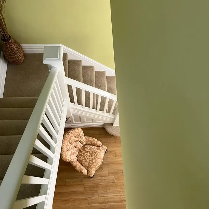 Benjamin Moore Castleton Mist stairs paint Benjamin Moore Castleton Mist stairs paint