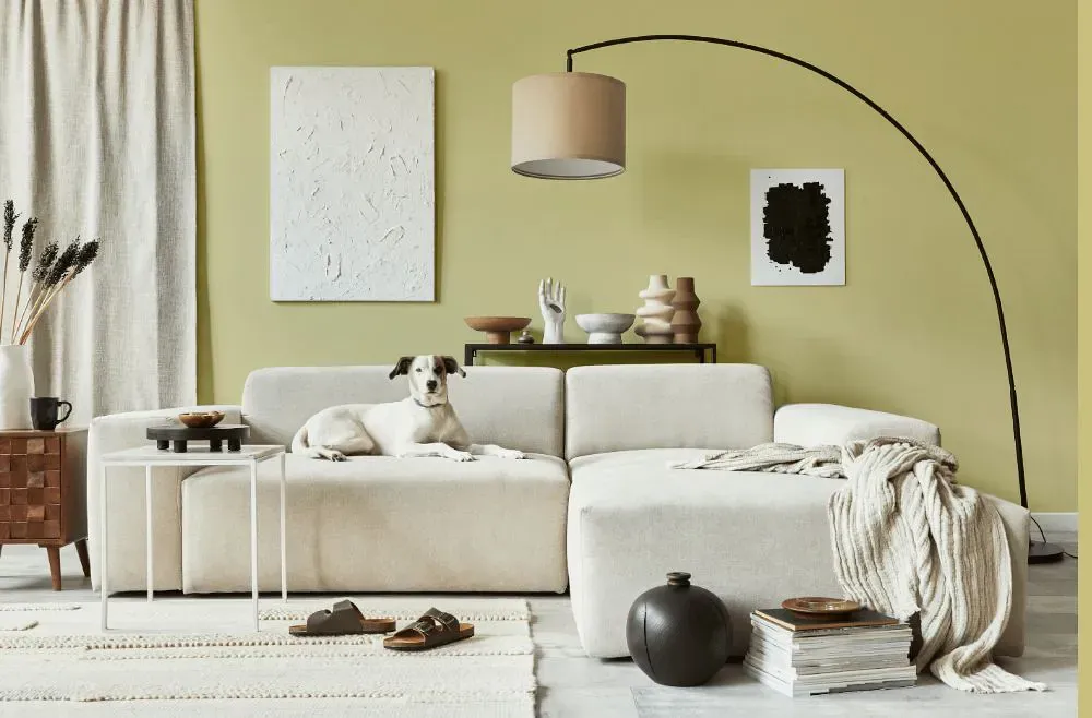 Benjamin Moore Castleton Mist cozy living room