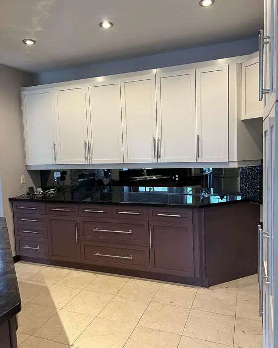 Cedar Key kitchen cabinets color