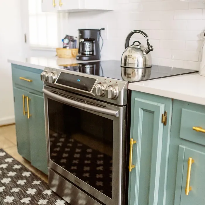 Cedar Mountains kitchen cabinets 