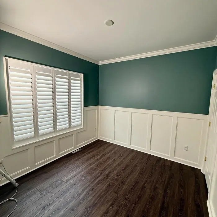 Cedar Mountains wall paint color