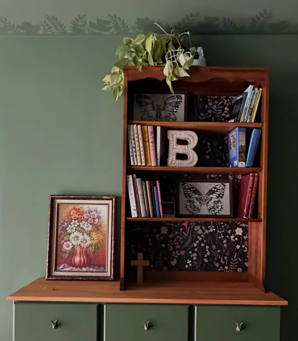 Benjamin Moore Cedar Path bedroom color