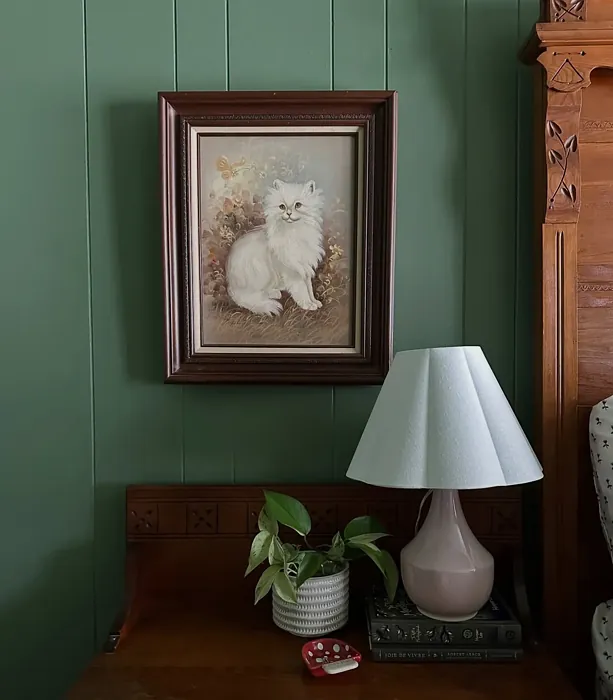 Benjamin Moore Cedar Path bedroom color review