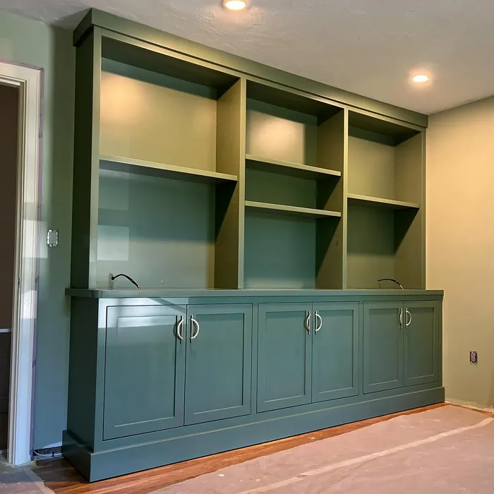 Benjamin Moore Cedar Path painted storage color