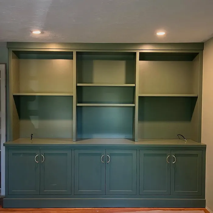 Benjamin Moore Cedar Path painted storage color review