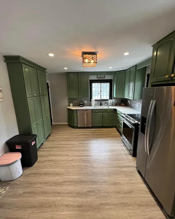 Cedar Path kitchen cabinets 