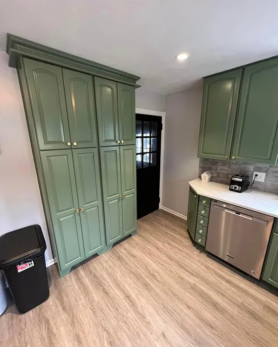 Cedar Path kitchen cabinets color