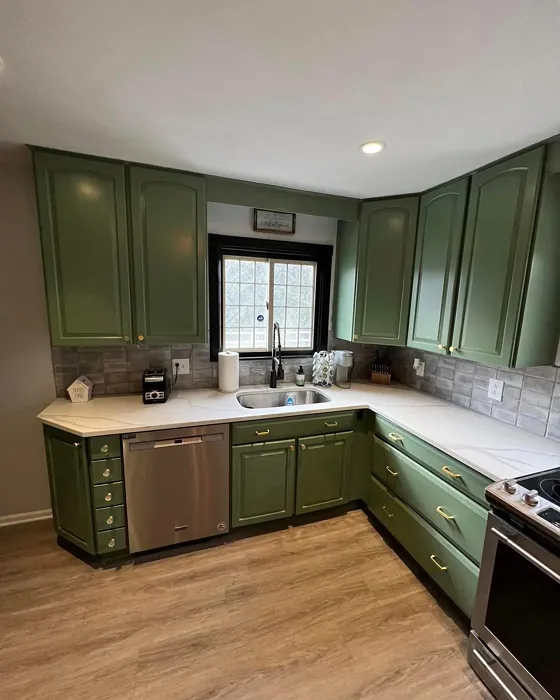 Cedar Path kitchen cabinets photo