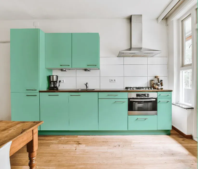 Benjamin Moore Celadon kitchen cabinets