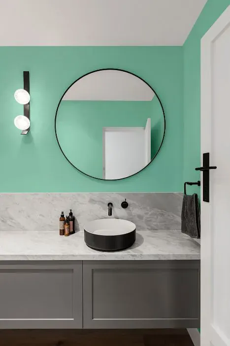 Benjamin Moore Celadon minimalist bathroom