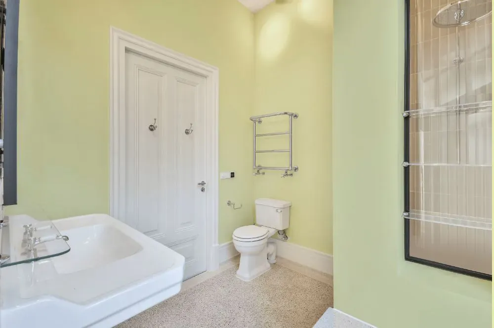 Benjamin Moore Celadon Green bathroom