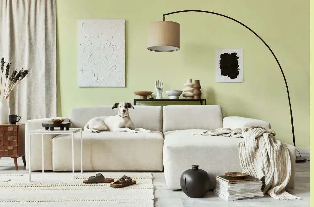 Benjamin Moore Celadon Green cozy living room