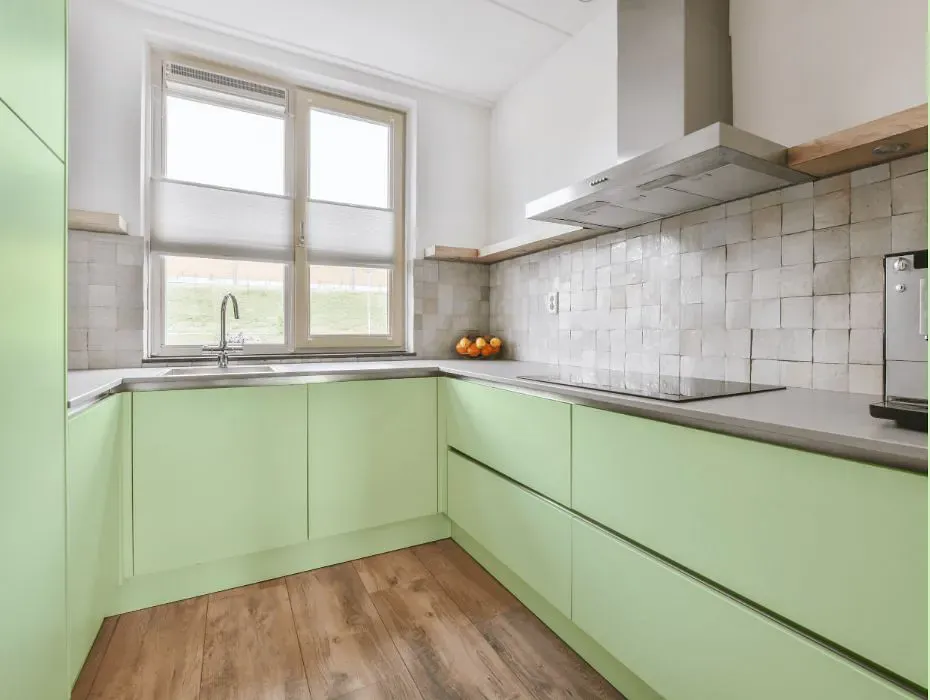 Benjamin Moore Celery Ice small kitchen cabinets
