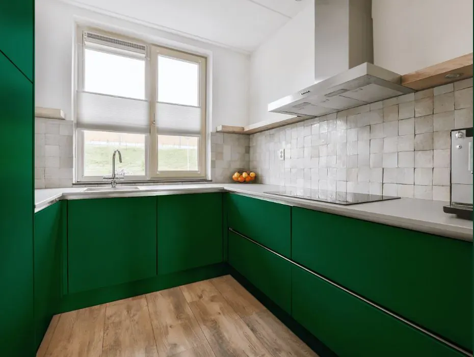 Benjamin Moore Celtic Green small kitchen cabinets