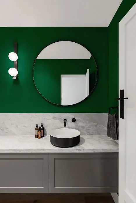 Benjamin Moore Celtic Green minimalist bathroom