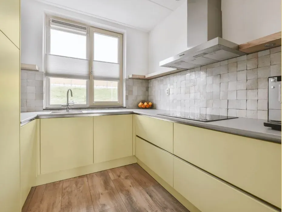 Benjamin Moore Chamber Yellow small kitchen cabinets