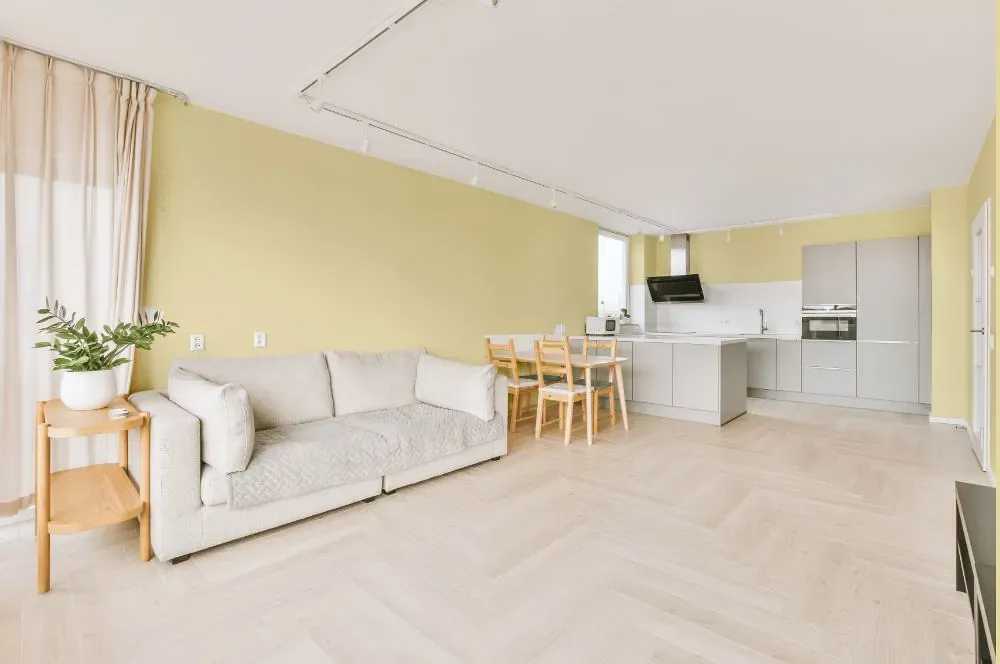 Benjamin Moore Chamber Yellow living room interior