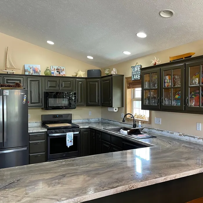 Benjamin Moore Char Brown kitchen cabinets color