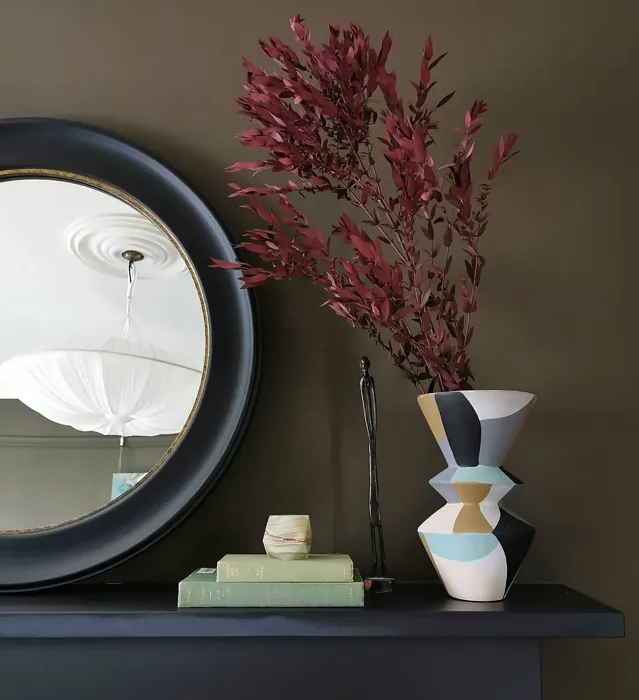 Char Brown wall paint 