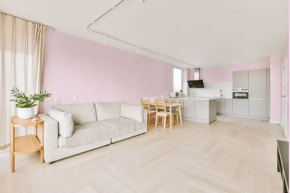 Benjamin Moore Charming Pink living room interior