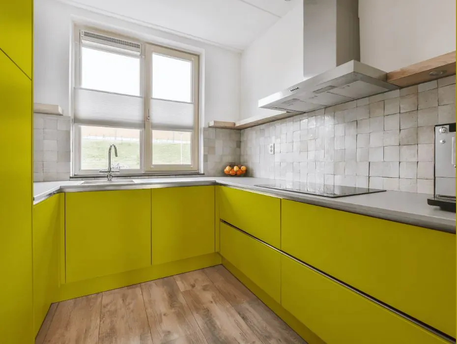 Benjamin Moore Chartreuse small kitchen cabinets