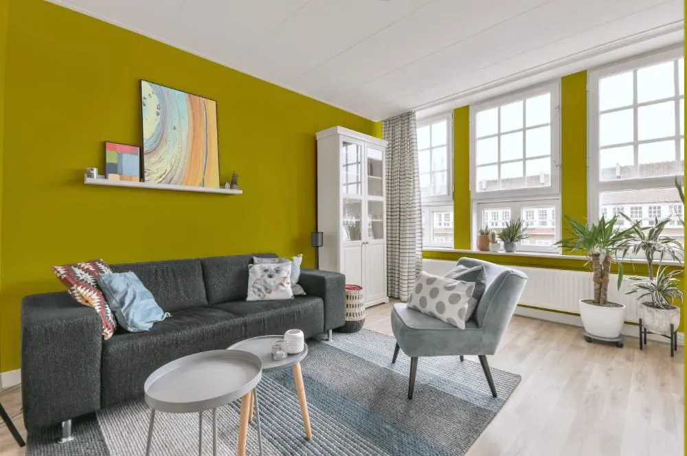 Benjamin Moore Chartreuse living room walls