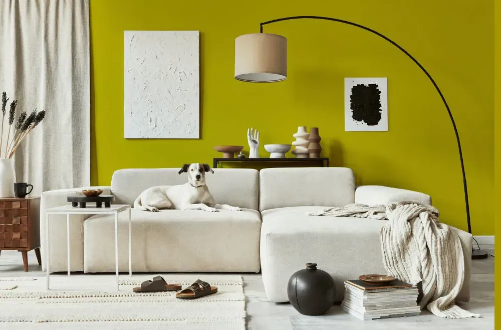 Benjamin Moore Chartreuse cozy living room